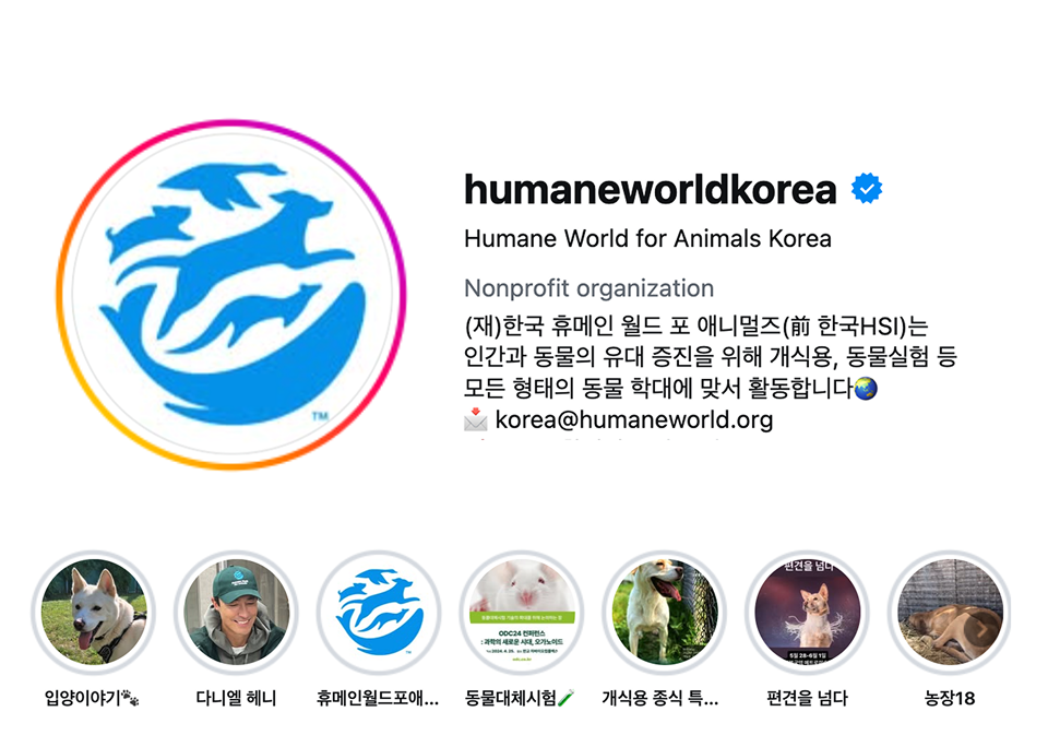 휴메인 월드 포 애니멀즈 공식 인스타그램 화면 스크린샷